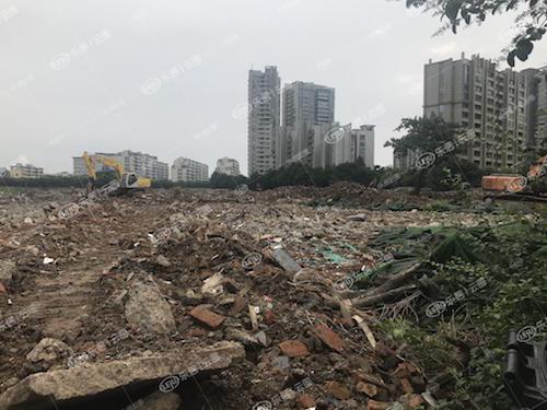 天童莊村斷頭路旁 違建廢舊物資回收點(diǎn)